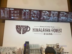 -喜马拉雅森HIMALAYAN FOREST