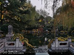 -趵突泉景区