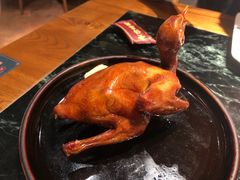 -大鸽饭(岗顶店)