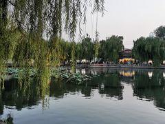 -百花洲