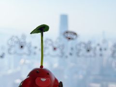 -秀·吧 Show Bar(兰州盛达希尔顿酒店)