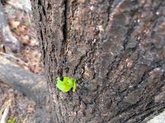 -碓臼峪自然风景区