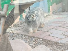 -青藏高原野生动物园