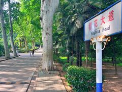 -武汉大学-樱园