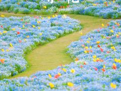 -上海辰山植物园