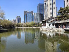 -团结湖公园