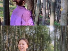 -西湖风景区十里琅珰-五云山