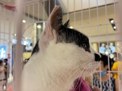 -远洋未来广场(育慧北路店)