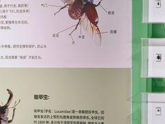 -昆山招商花园城