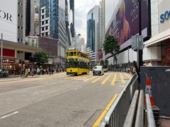 -Big Bus Tours 敞篷观光巴士