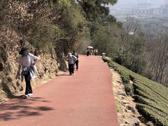 -敬亭山风景名胜区