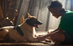 -小熊维尼高端儿童摄影(宝安旗舰店)