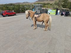 -新疆天山野生动物园
