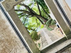 -严子陵钓台(富春江小三峡)