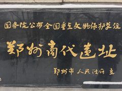 -紫荆山公园
