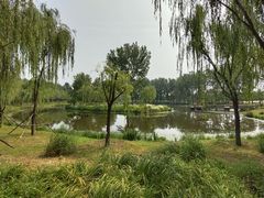 -东郊湿地公园