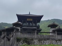 -大唐贡茶院