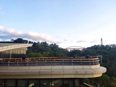 -金鸡山公园