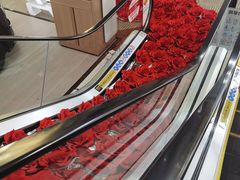 -丝恋丝娃娃(逸天城国贸店)