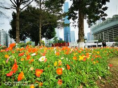 -海心沙亚运公园