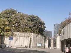 -东方体育中心(地铁站)