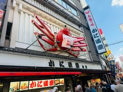 -蟹道乐(道顿堀本店)