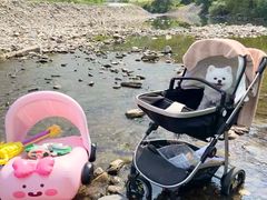 -樱桃家的宠物店(君安花园店)