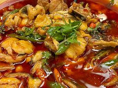 -陈麻婆豆腐(旗舰店)