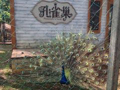 -南戴河国际娱乐中心