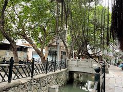 -小洲村