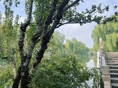 -济南大明湖景区
