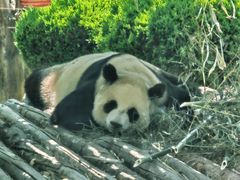 -大连森林动物园