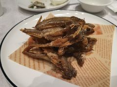 现炸烤子鱼-新南华大酒店(长寿店)