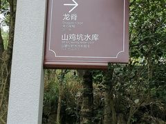 -大罗山风景区