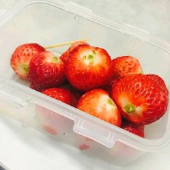 -木北造型