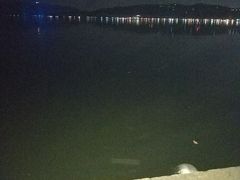 -西湖外事游船(湖滨二公园外事游船码头)