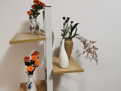 -溪岸路花鸟市场