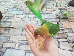 -上海大自然野生昆虫馆(东方明珠·爬宠昆虫探索中心)