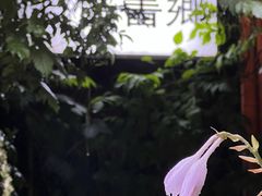 -斯多格书乡(北京大学畅春园店)