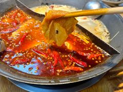 -阳阳老火锅(小南门店)