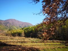 -塔川景区