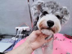 -宠福鑫康馨动物医院·骨科·眼科