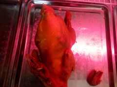 -王氏老字号宁强麻辣鸡(天荡花苑店)