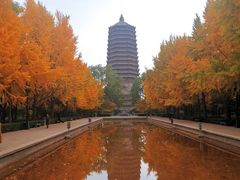 -玲珑塔公园