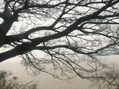 -平湖九龙山旅游度假区