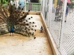 -石家庄市动物园