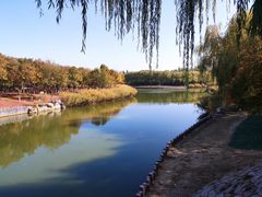 -大兴滨河森林公园