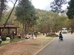 -青龙山国家森林公园