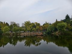 -水绘园