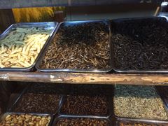 -昆虫窝子·特色云南菜(拓东路总店)